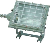 供应防爆泛光灯厂家型号BAT53